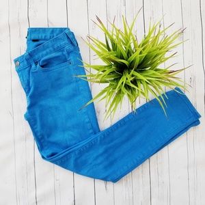 ⬇️🌹J.Crew (25)Toothpick Blue Stretch Skinny Jeans